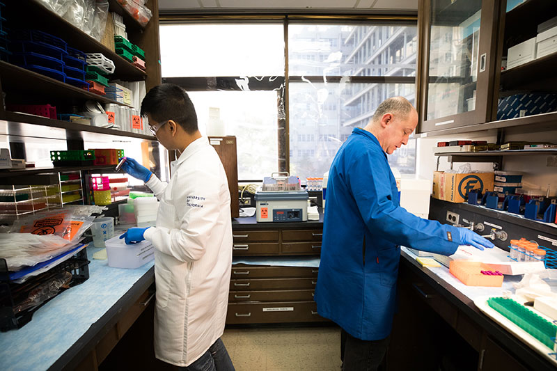 Sergio Diaz (left) and Anatol Sucher (right) handle research specimens in the lab at the UCSF School of Nursing.