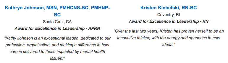 Screen shot of website listing APNA awardees.