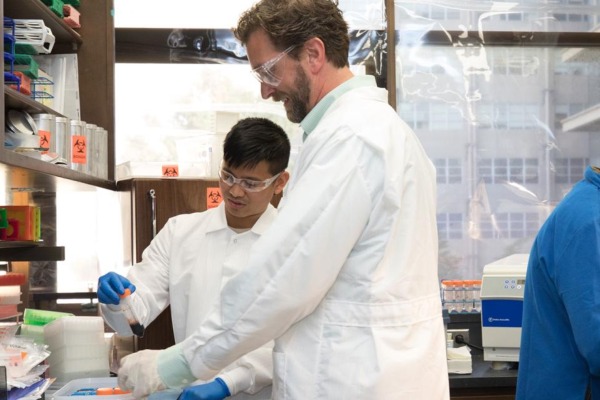 Two researchers work in lab