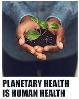 Human hands holding a plant above the words "Planetary Health is Human Health"