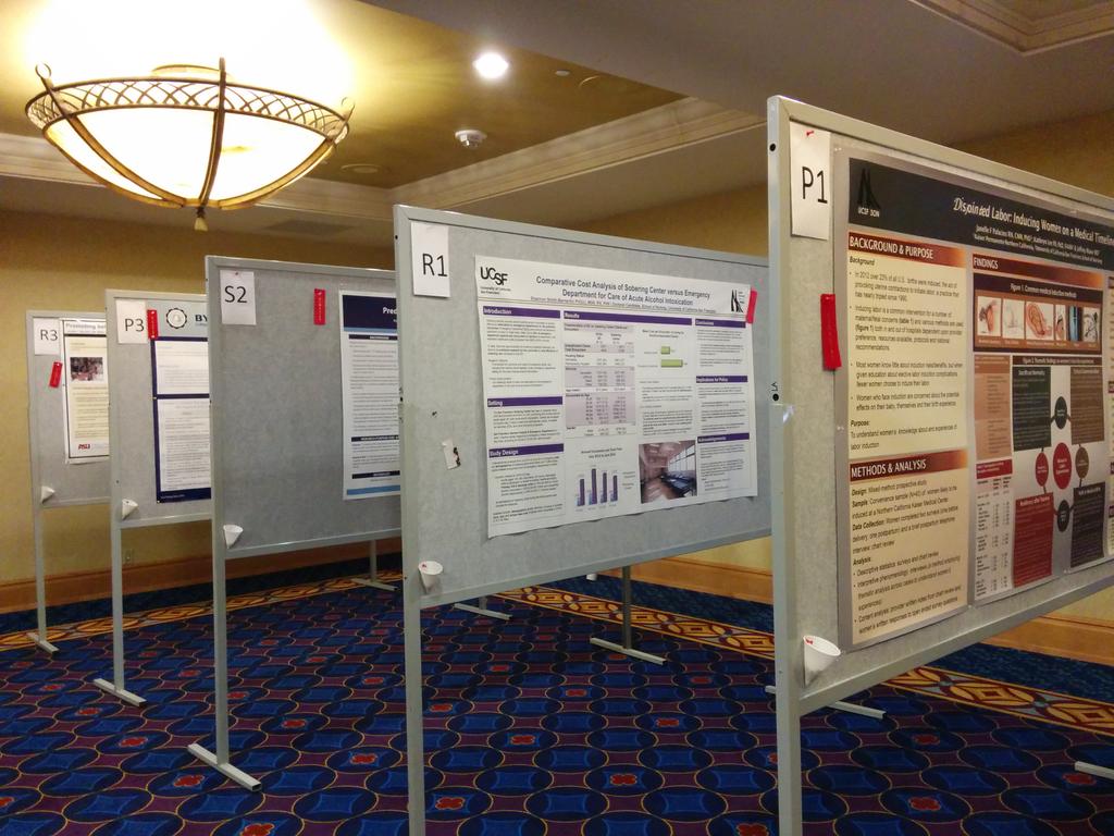 Poster finalists offered stiff competition at this year’s WIN Conference. Image courtesy of Shannon Smith-Bernardin.