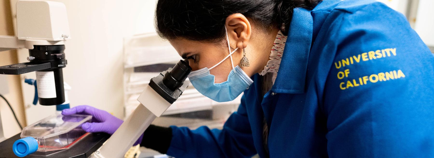 Researcher Looks Into Microscope