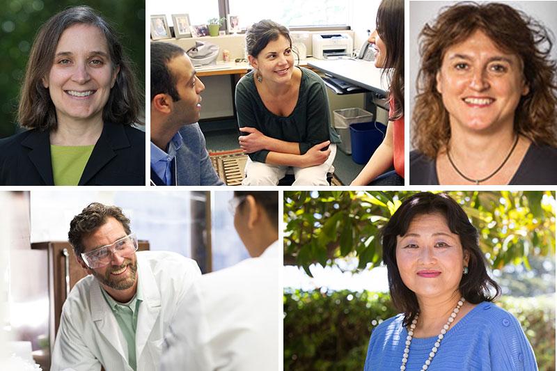 NIH 2020 UCSF nurse researchers
