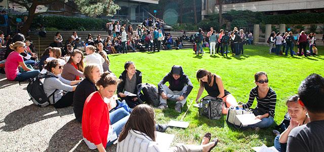 First-year students from UCSF’s five professional programs participate in an introductory workshop on interprofessional education (photos by Elisabeth Fall).