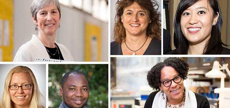 Scholars at the UCSF School of Nursing have received more than $19 million in funding for their research on health equity. These researchers include, clockwise from top left, Abbey Alkon, Elena Portacolone, Jarmin Yeh, Monica McLemore, Jerry John Nutor and Laura Wagner.
