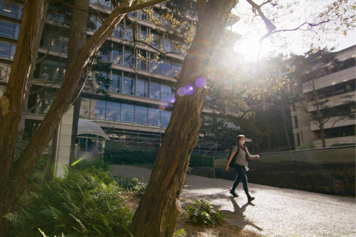 Student walking through Saunders Court