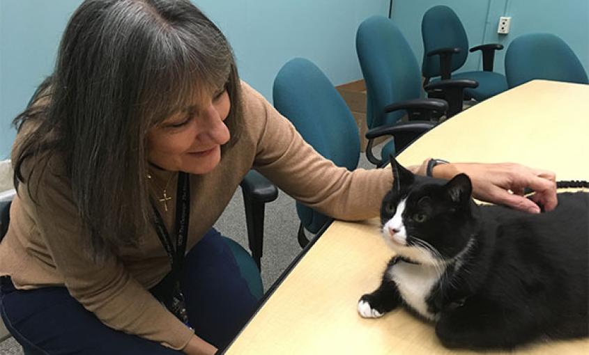 Michele Keating with Duke the therapy cat