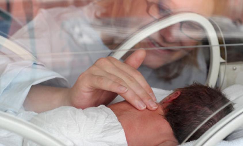 Parent touches newborn in an incubator. 